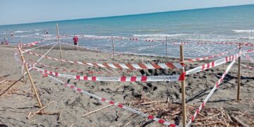 I soccorritori guidati dal fratellino ma era già troppo tardi