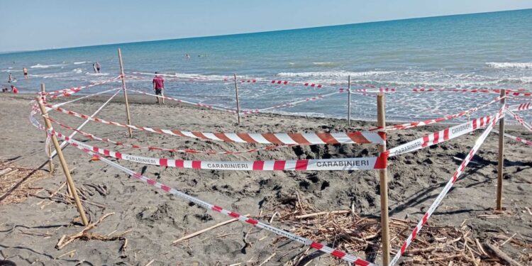 I soccorritori guidati dal fratellino ma era già troppo tardi