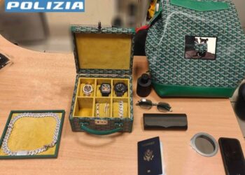 Il colpo a bordo di un treno alla Stazione Centrale di Milano