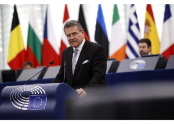 'Nel pomeriggio la Commissione informerà i Paesi membri'