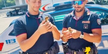 Animali soccorsi da una pattuglia sono stati affidati a un Cras