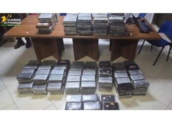 Trovati dalla Guardia di finanza in un container