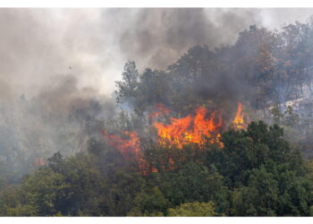 Attesa una nuova ondata di caldo torrido