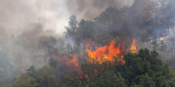 Attesa una nuova ondata di caldo torrido