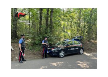 Blitz dei carabinieri