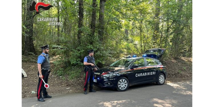 Blitz dei carabinieri