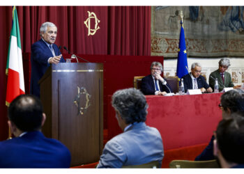 Leader FI rivendica "serietà" proposta azzurra