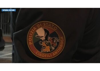 Operazione polizia Grandsons a San Benedetto del Tronto
