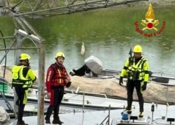 Recuperato dai vigili del fuoco nei pressi del Ponte della Becca
