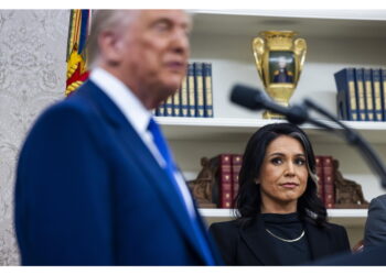 Si congratula con Gabbard per informazioni nascoste su voto 2016
