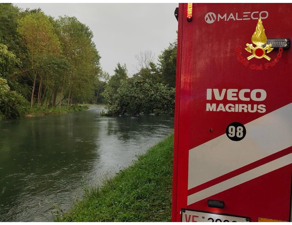 Uccisa dalla caduta di un albero nel Milanese, aperta inchiesta