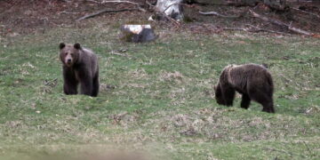 Morto in Romania