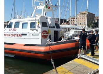 Avvistato davanti alla affollata spiaggia del Poetto