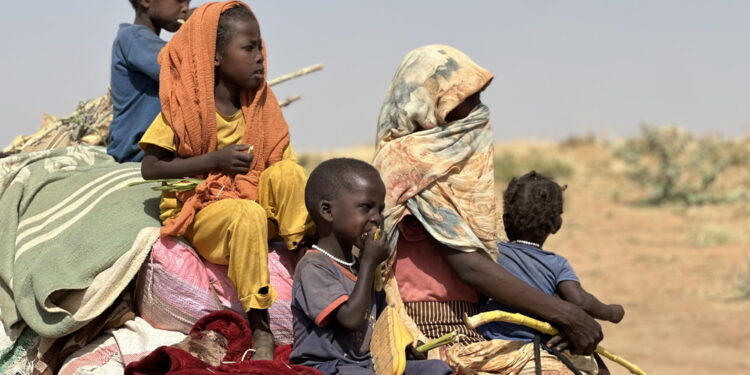 Mentre incalzano violenze e epidemie