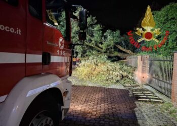 Vigili del fuoco al lavoro per ultimare gli interventi