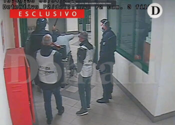 "Li abbattiamo come vitelli"