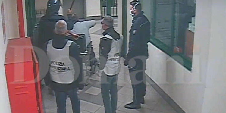 "Li abbattiamo come vitelli"