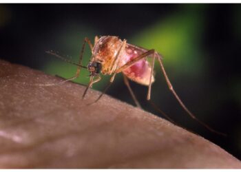 Per evoluzione quadro epidemiologico specie in provincia Latina