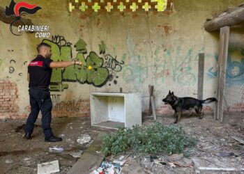 carabinieri spaccio