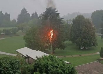 L'albero in fiamme colpito dal fulmine a Capiago