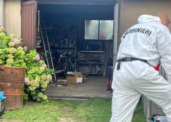 'Con un seghetto; nessuno schizzo. Mailyn portò resti in garage'