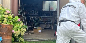 'Con un seghetto; nessuno schizzo. Mailyn portò resti in garage'