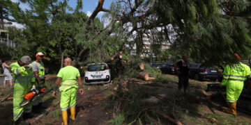 Si stanno facendo verifiche sugli alberi pericolanti