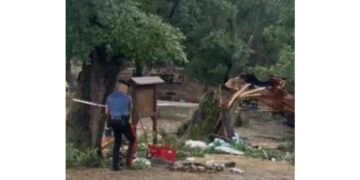 I Carabinieri hanno sequestrato la quercia e la Fiat Panda