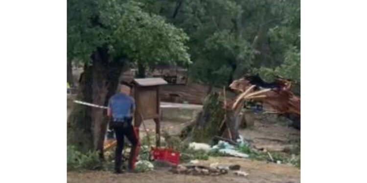 I Carabinieri hanno sequestrato la quercia e la Fiat Panda
