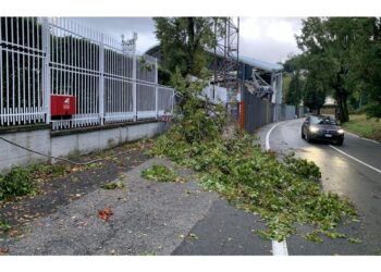 Distrutta un'inferriata e crollato un palo dell'illuminazione