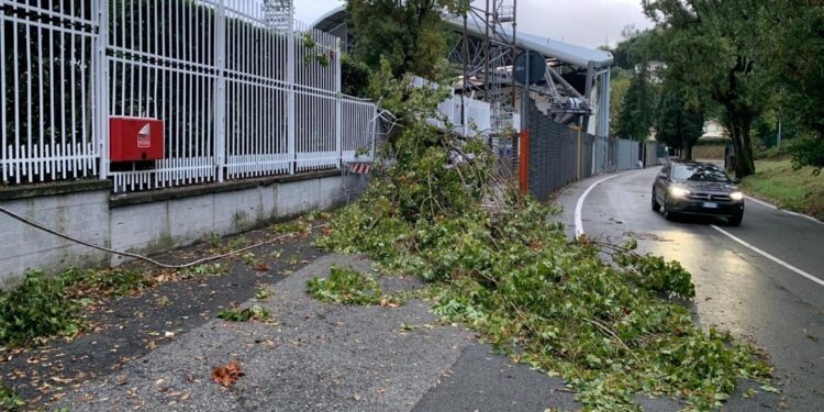 Distrutta un'inferriata e crollato un palo dell'illuminazione