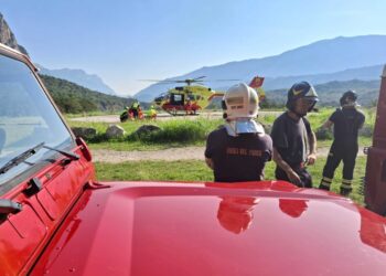 L'incidente in Trentino questa mattina poco dopo le 7