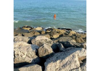 Davanti alla spiaggia di Cavallino
