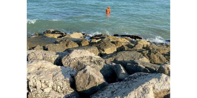 Davanti alla spiaggia di Cavallino