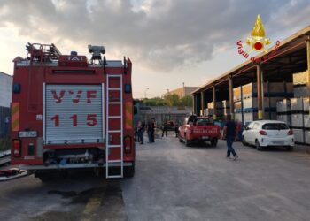 In un'azienda a Rocca d'Evandro