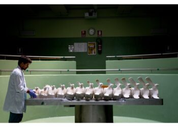 Diventerà uno strumento di ricerca scientifica