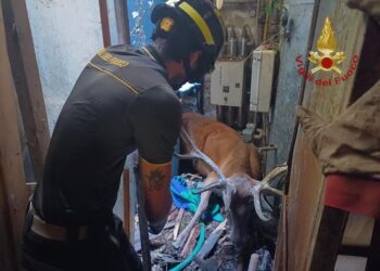Soccorso da pompieri e carabinieri forestali
