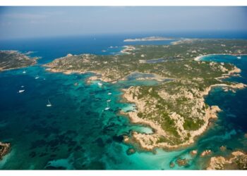 L'associazione annuncia denunce contro la Guardia costiera