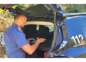 L'uomo bloccato dai Cc a Polistena