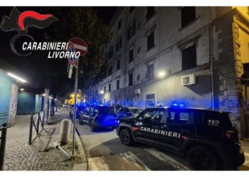 Operazione Garibaldi per smantellare piazza di spaccio cittadina