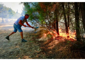 Dalla fine di luglio