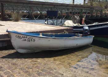 Avevano raggiunto le coste del Sud dell'Isola nei giorni scorsi