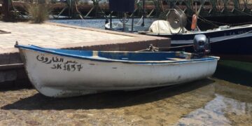 Avevano raggiunto le coste del Sud dell'Isola nei giorni scorsi