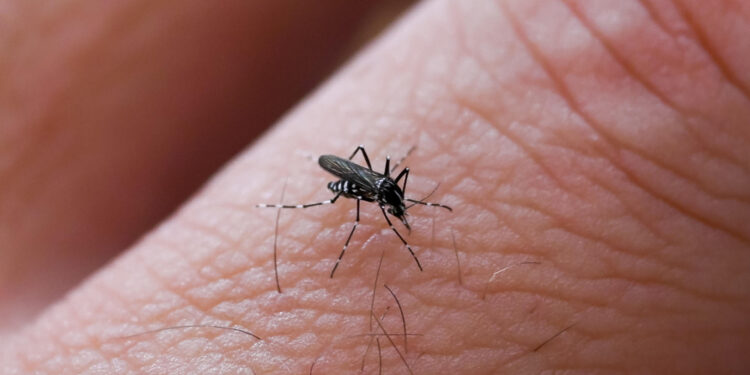 I casi a Guardavalle. Avviata indagine epidemiologica