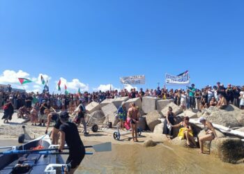 Folla al porto con fumogeni e bandiera della Palestina