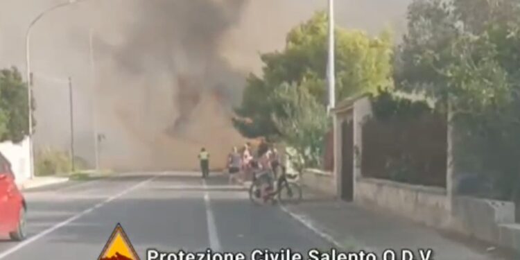 Sul posto inviati due canadair