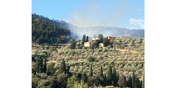 A fuoco uliveta e porzione di bosco a Cercina