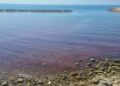 A S.Stefano al mare