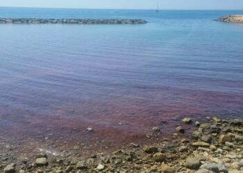 A S.Stefano al mare