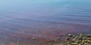 A S.Stefano al mare